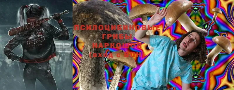 Галлюциногенные грибы MAGIC MUSHROOMS  что такое наркотик  Николаевск 